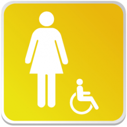 Logo Sanitaire Femme Handicapé Couleur (PMR)