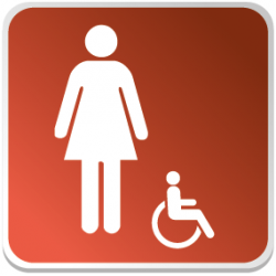 Logo Sanitaire Femme Handicapé Couleur (PMR)