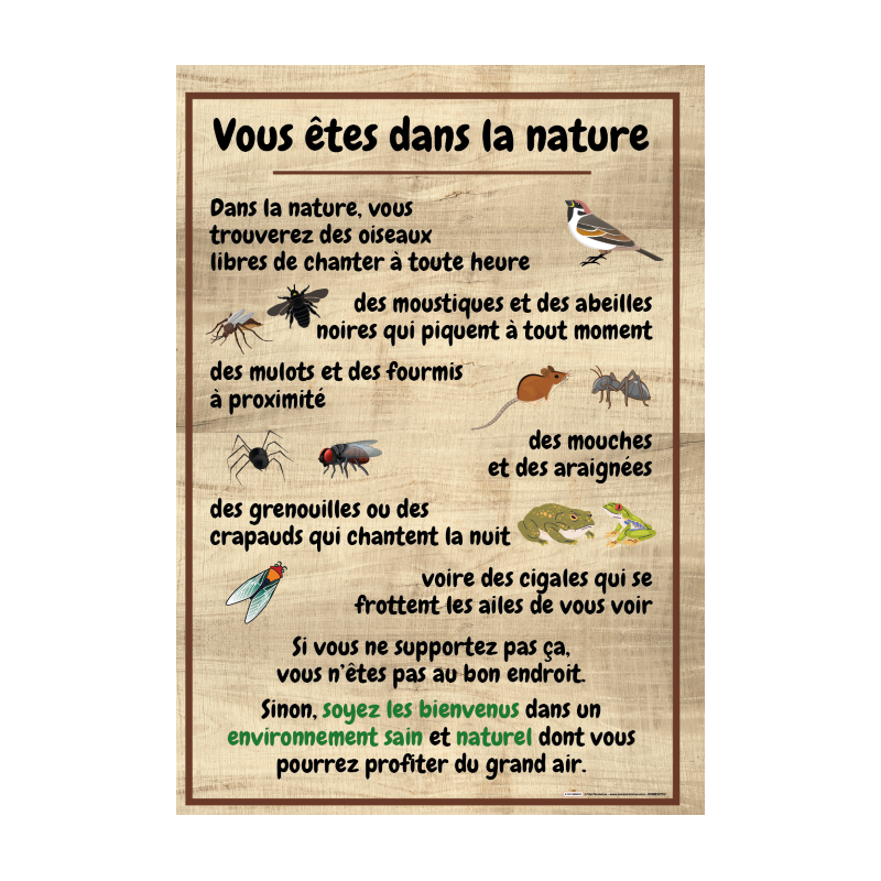 Vous êtes dans la Nature fond bois