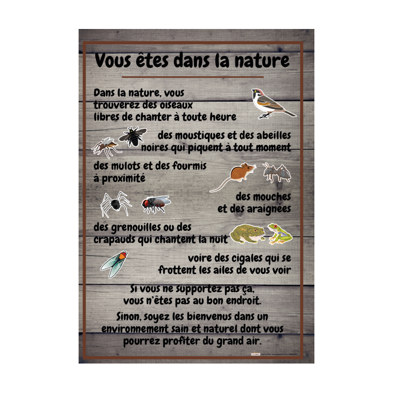 Vous êtes dans la Nature fond bois gris